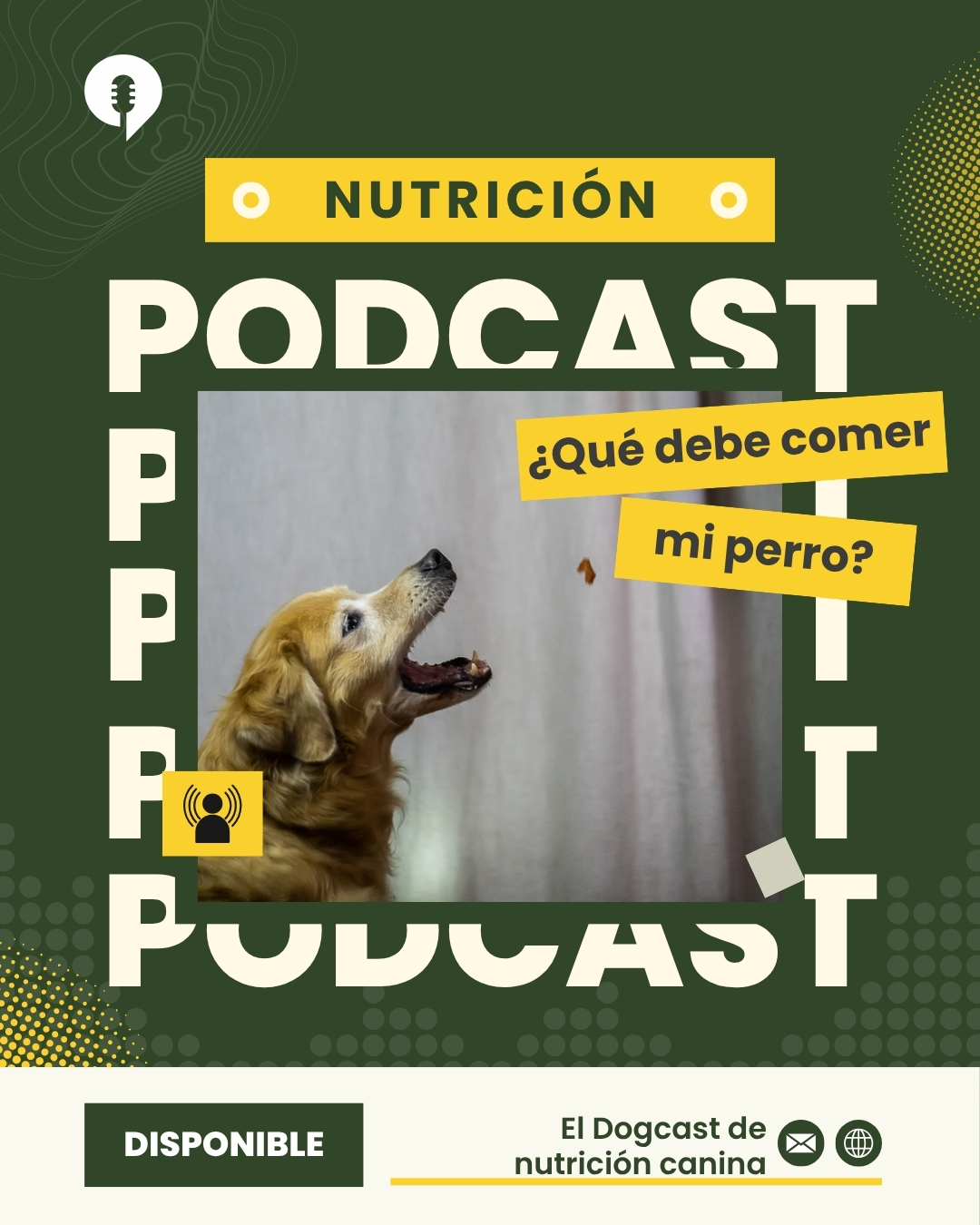 Dogcast de Nutrición Canina