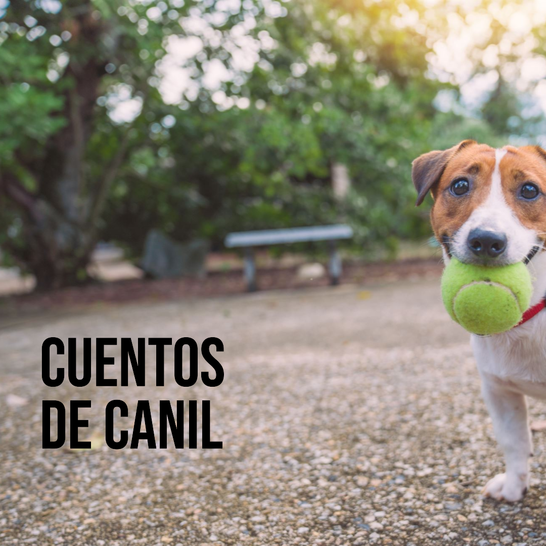 Cuentos de Canil