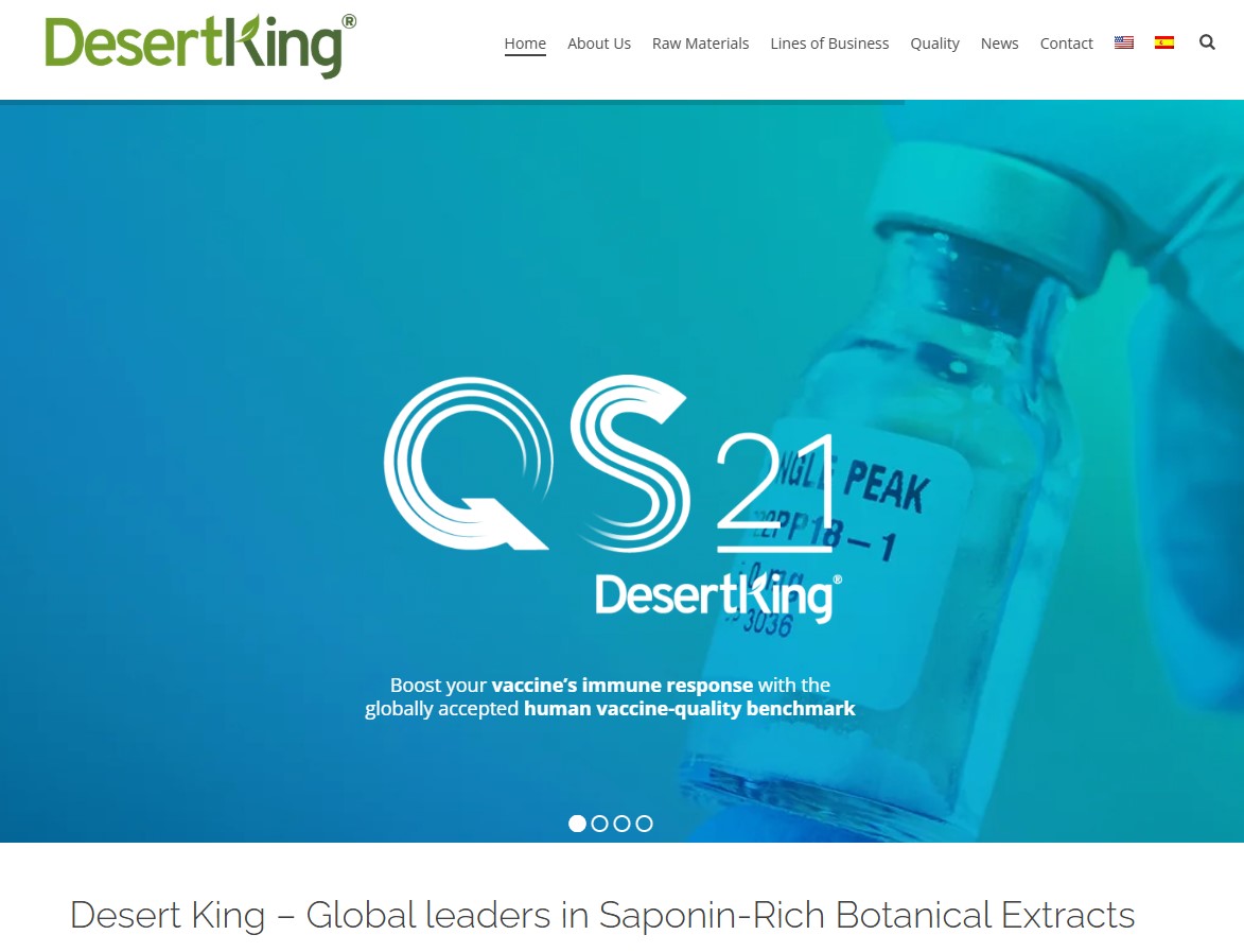DesertKing — Análisis SEO