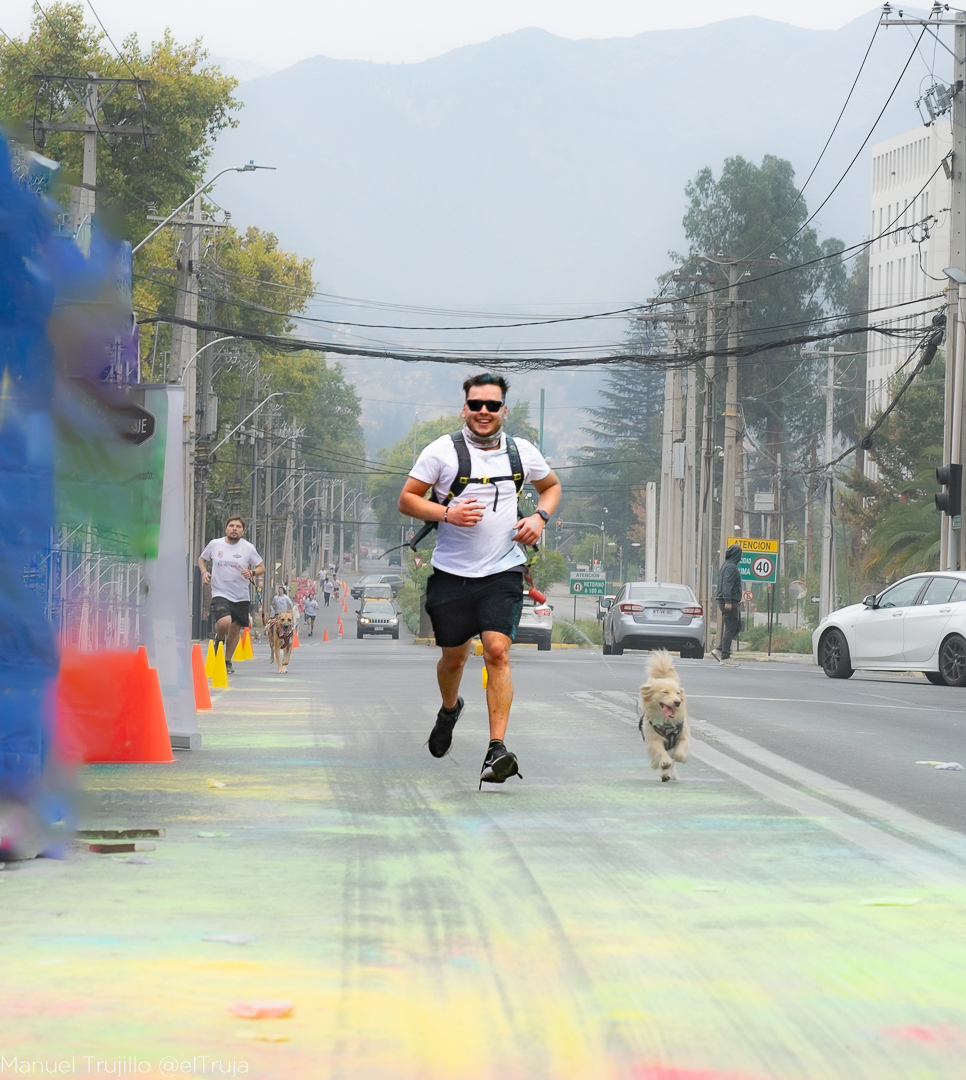 Carrera Color Pet